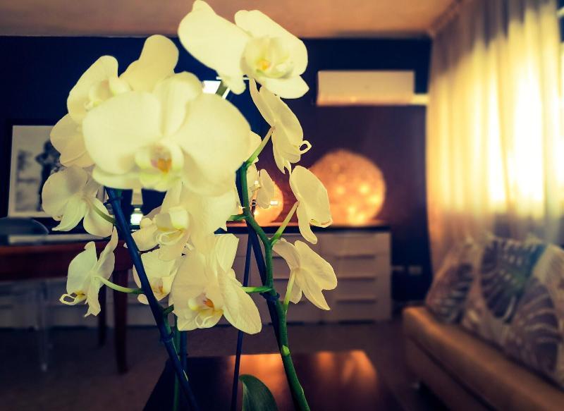Hotel Caraibi Milano Marittima Exteriör bild